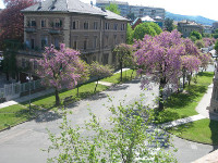 Corso Trento, Torino